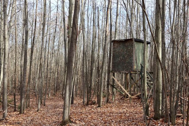 6495 Jackson Avenue, Lake, MI 48632