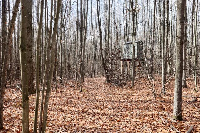 6495 Jackson Avenue, Lake, MI 48632