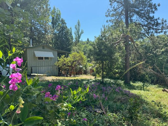 53804 N Hwy 245, Miramonte, CA 93641