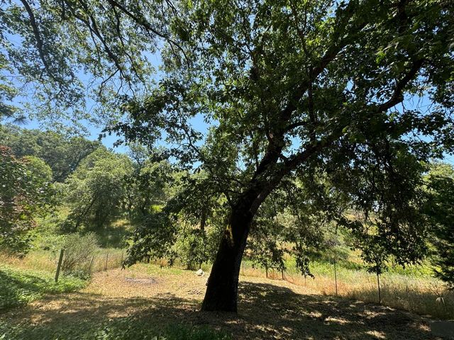 53804 N Hwy 245, Miramonte, CA 93641