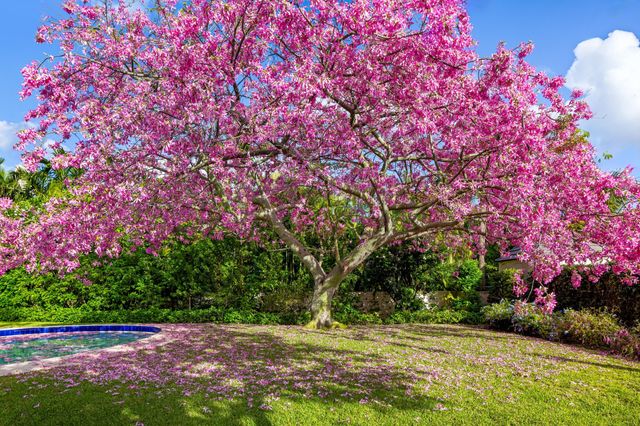 334 Barton Avenue, Palm Beach, FL 33480