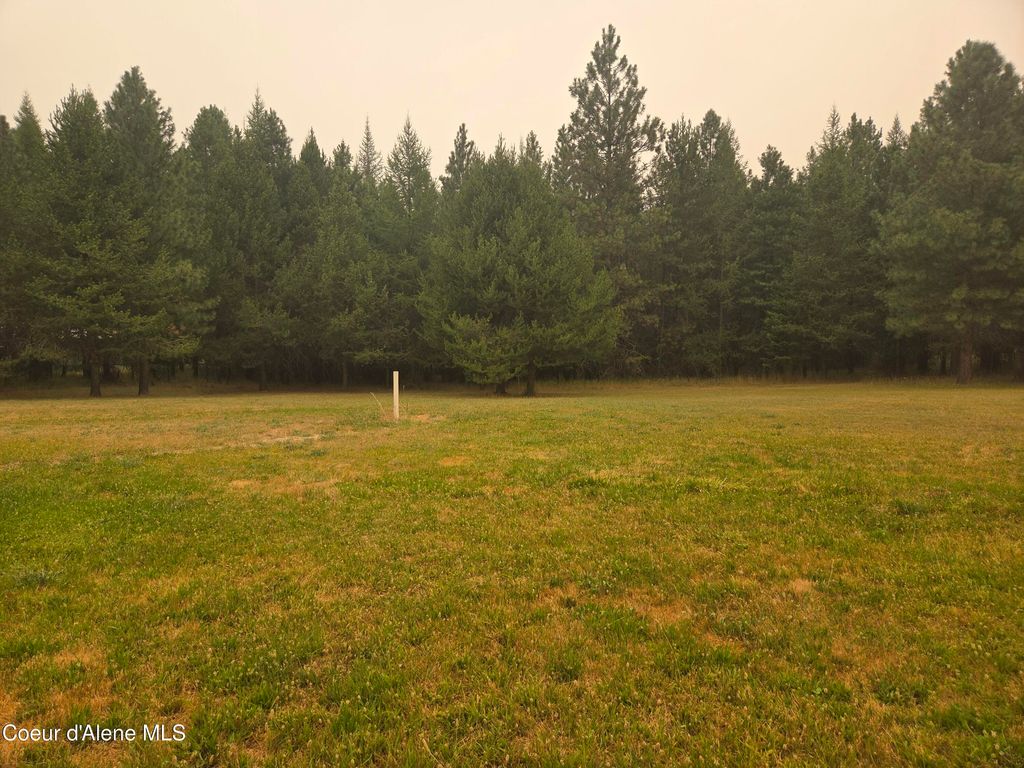 917 Mountain Meadows RD, Naples, ID 83847 photo 3