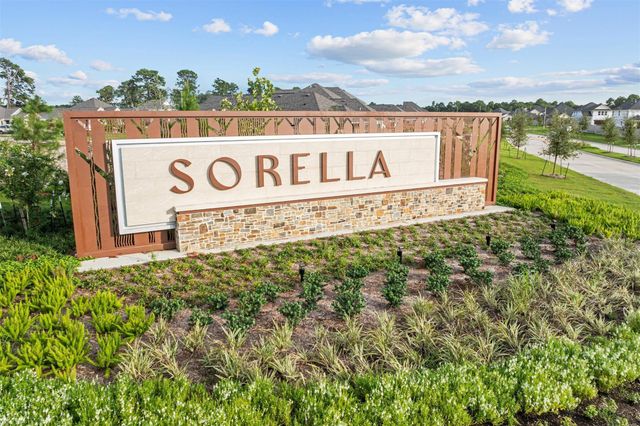 21227 Jacaranda Blossom, Tomball, TX 77377