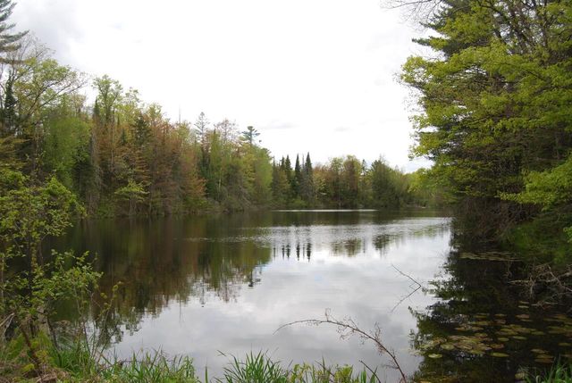 N11502 Nelson ROAD, Wausaukee, WI 54177