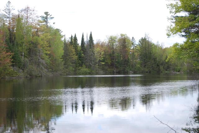 N11502 Nelson ROAD, Wausaukee, WI 54177