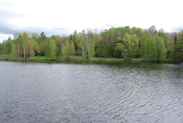 N11502 Nelson ROAD, Wausaukee, WI 54177