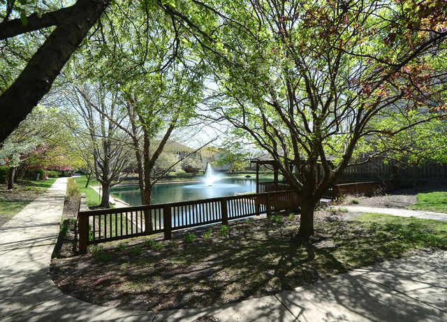 205 Taylor Court, Buffalo Grove, IL 60089