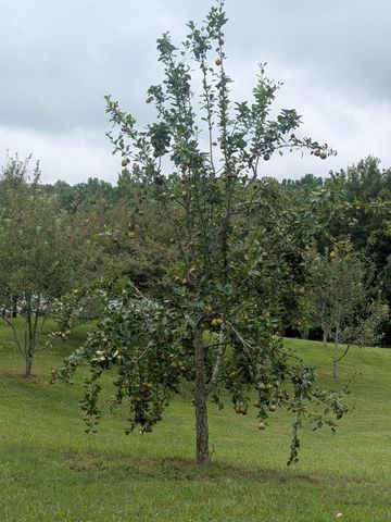 119 Fred Rd, Bon Aqua, TN 37025
