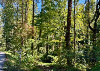 Lots 36-37 Cool Creek Road, Sevierville, TN 37862