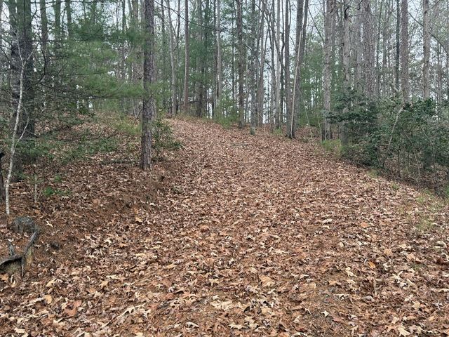 0 Kestrel Ridge Circle, Murphy, NC 28906