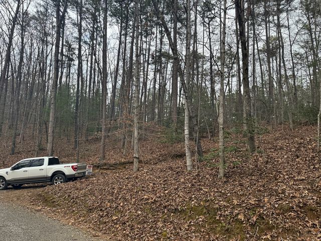 0 Kestrel Ridge Circle, Murphy, NC 28906