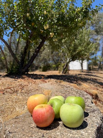 19664 Penn Valley Dr, Penn Valley, CA 95946