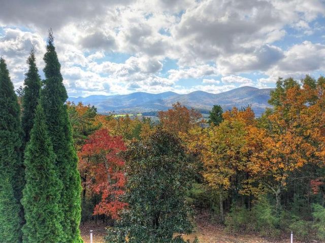 823 Arrant Road, Blairsville, GA 30512