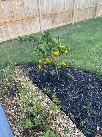 315 Red Barn Road, Freeport, FL 32439