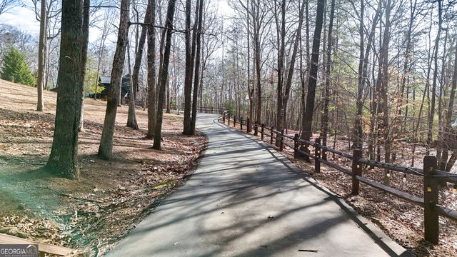 202 Shepherds Ridge, Morganton, GA 30560