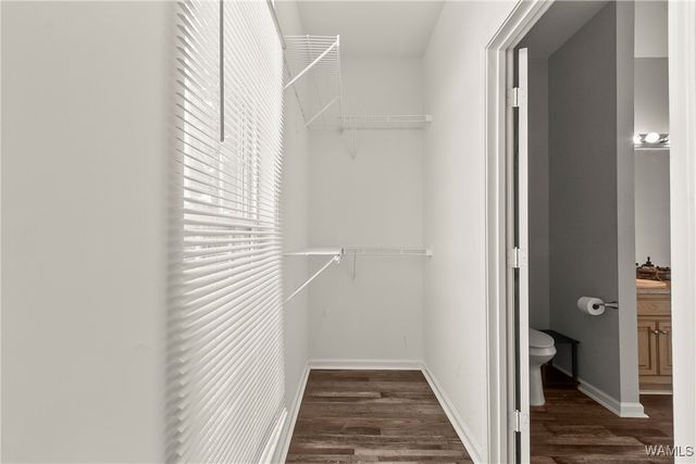 2309 starlight, Tuscaloosa, AL 35405