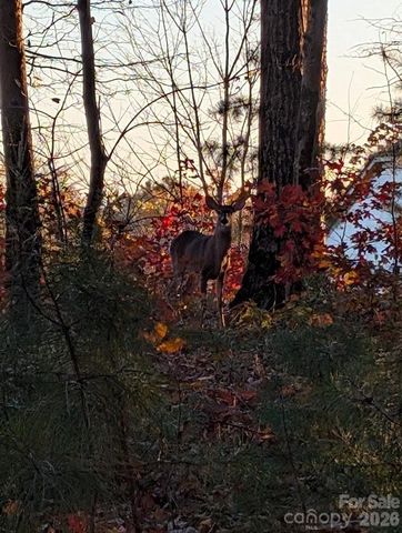 7319 Gilead Road, Huntersville, NC 28078