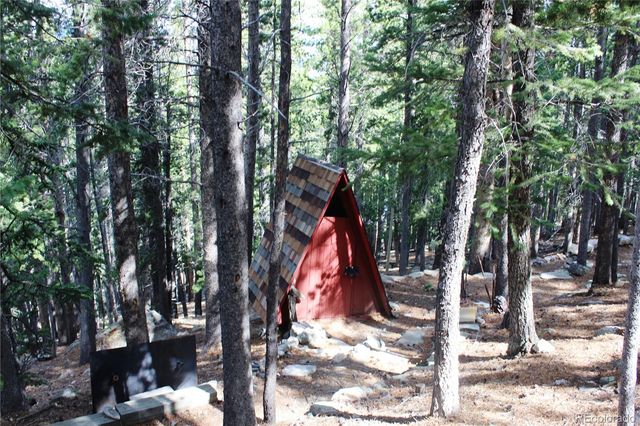 3504 Hidden Wilderness Road, Idaho Springs, CO 80439