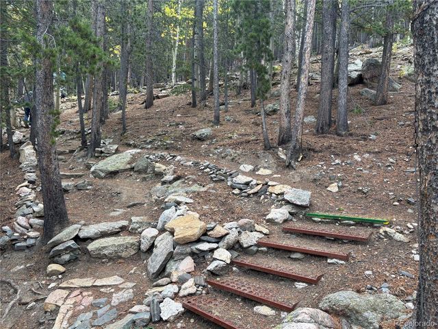 3504 Hidden Wilderness Road, Idaho Springs, CO 80439