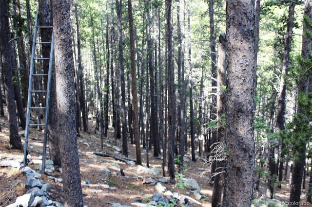 3504 Hidden Wilderness Road, Idaho Springs, CO 80439