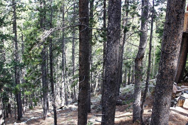 3504 Hidden Wilderness Road, Idaho Springs, CO 80439