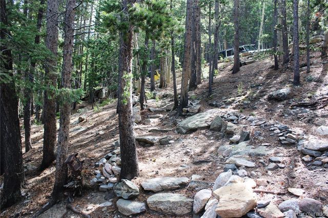 3504 Hidden Wilderness Road, Idaho Springs, CO 80439