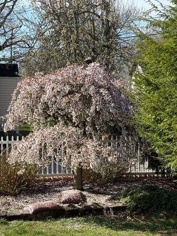 93 Morgan Street, Randolph, MA 02368