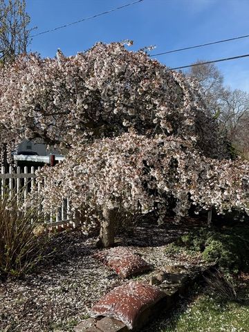 93 Morgan Street, Randolph, MA 02368