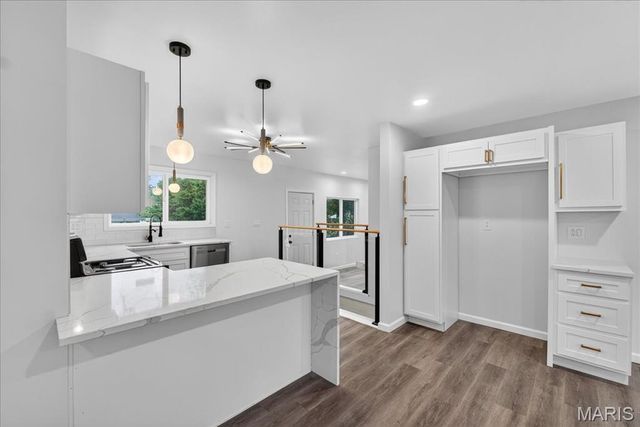 10243 Pannell Drive, St Louis, MO 63136