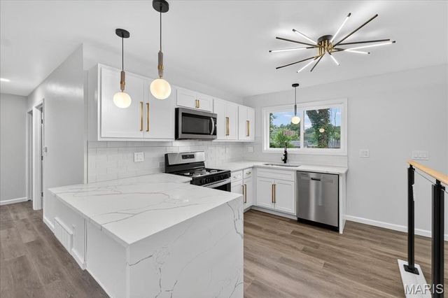10243 Pannell Drive, St Louis, MO 63136