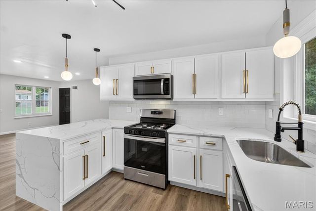 10243 Pannell Drive, St Louis, MO 63136