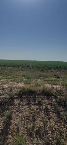 1222 FM211, New Home, TX 79383