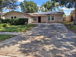 15911 COUNTRY FARM, Tampa, FL 33624
