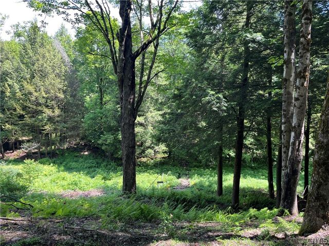 52 Mc Caw Road, Redfield, NY 13437