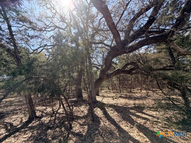 2026 Omaha Drive, Lago Vista, TX 78645