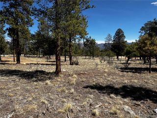 30583 Timberline Drive, Buena Vista, CO 81211