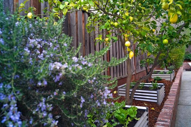 21685 Regnart Road, Cupertino, CA 95014