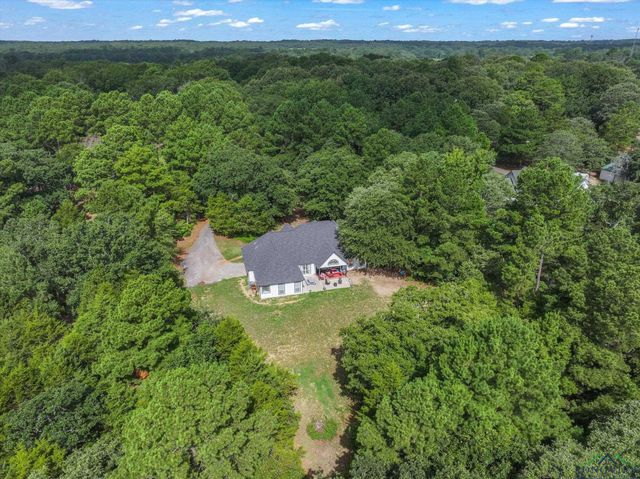 176 CR 3282, Quitman, TX 75783