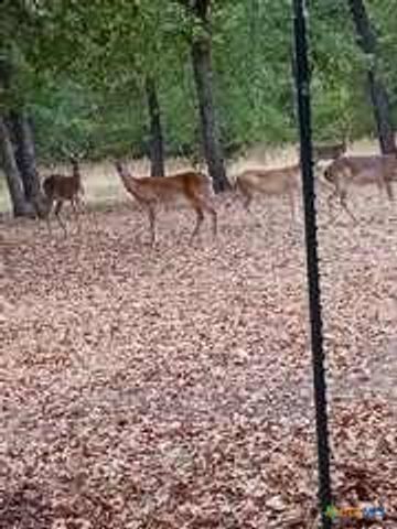 650 County Road 82, Gatesville, TX 76528