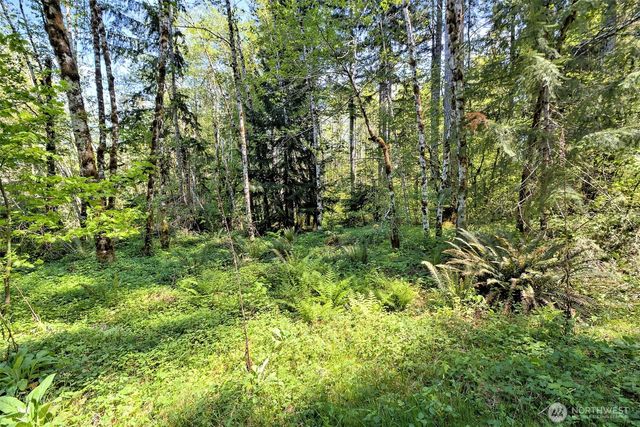 2070 W Cushman Ridge Drive, Hoodsport, WA 98548