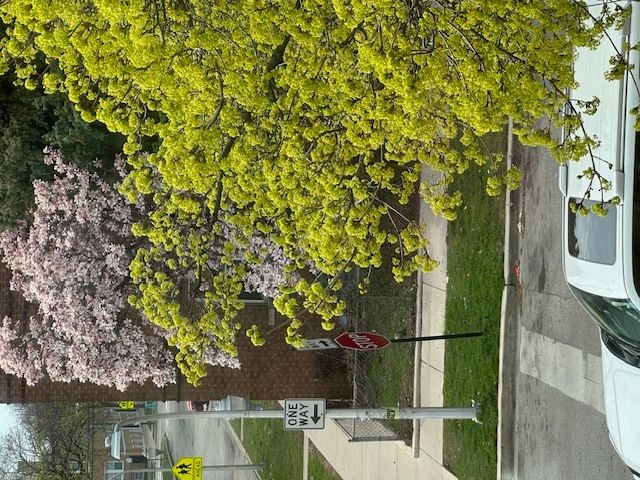 4058 W Dickens Avenue 2D, Chicago, IL 60639