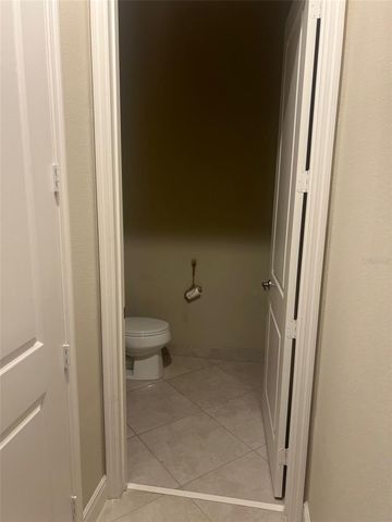 30447 CEASAR PARK DRIVE, Wesley Chapel, FL 33543