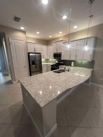 30447 CEASAR PARK DRIVE, Wesley Chapel, FL 33543