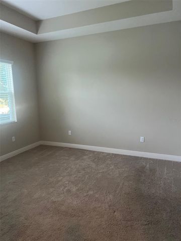 30447 CEASAR PARK DRIVE, Wesley Chapel, FL 33543