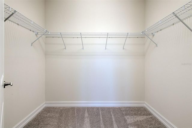 18864 NOBLE CASPIAN DRIVE, Lutz, FL 33558