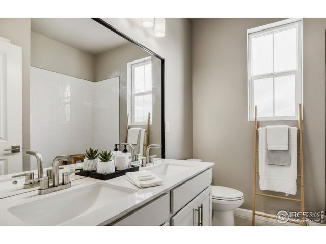 640 Noola St, Windsor, CO 80550