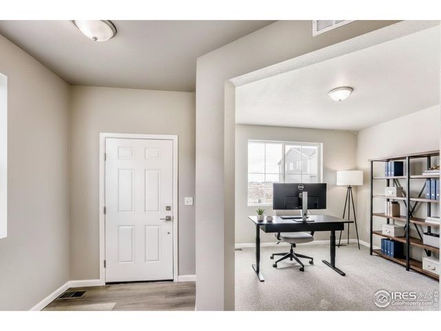 640 Noola St, Windsor, CO 80550