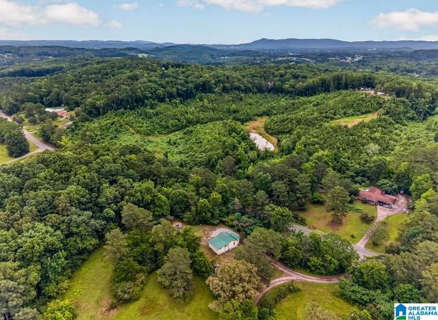 1000 CEDAR SPRINGS ROAD, Weaver, AL 36277
