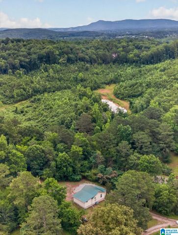 1000 CEDAR SPRINGS ROAD, Weaver, AL 36277