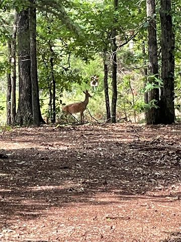 271 CR 510, Berryville, AR 72616